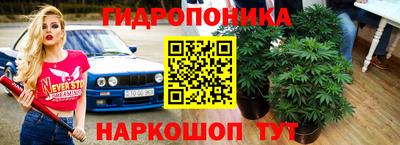 круглые Бийск