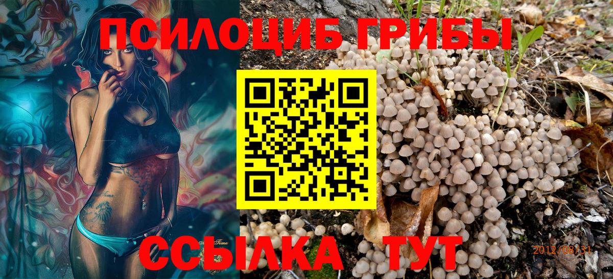 Псилоцибиновые грибы MAGIC MUSHROOMS  Вход с VPN  Архангельск  Псилоцибиновые грибы GOLDEN TEACHER 